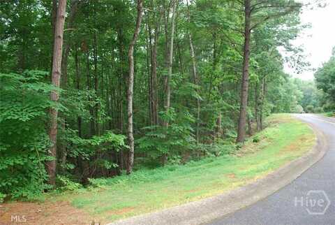 742 Plum Lane, Clarkesville, GA 30523