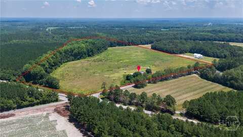263 Dewitt Road, Springfield, GA 31329