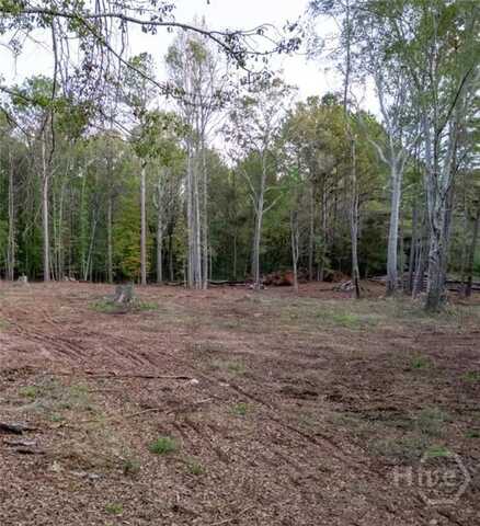 0 Seven Islands Road, Madison, GA 30650