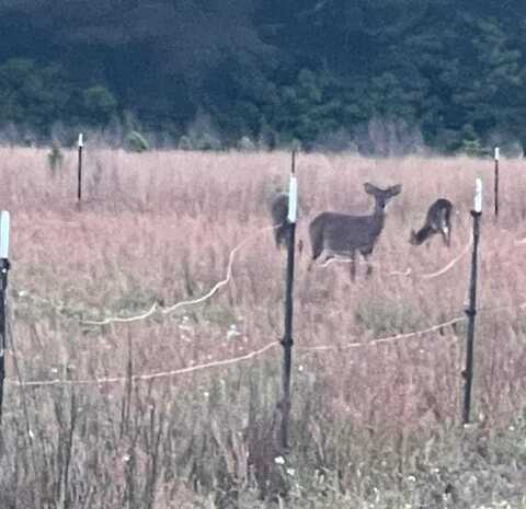 Tbd Cecil Road, Manning, SC 29102