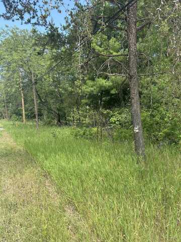 Lot 24 Greenwood, Skidway Lake, MI 48610