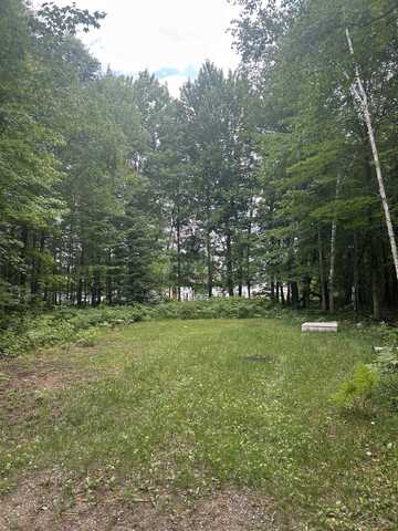 Lots 64 & 65 Todd, Prescott, MI 48756