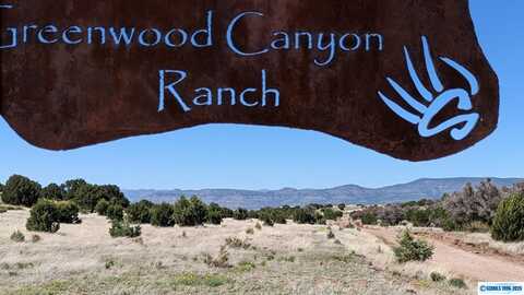 3XX Old Telegraph Ridge Road, Silver City, NM 88061