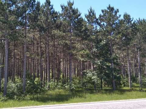 9.17 Ac County D Road, Nekoosa, WI 54457