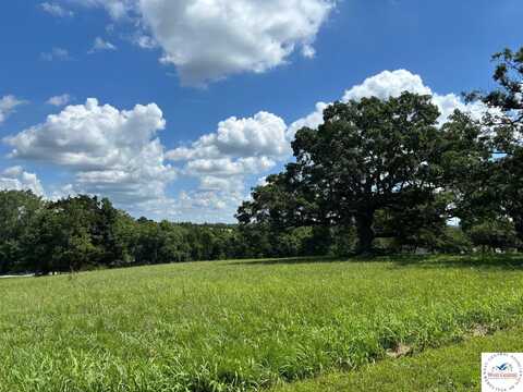 Lots 50 Glenn, Warsaw, MO 65355