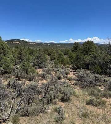 Lot 1 Unit 5, Tierra Amarilla, NM 87575