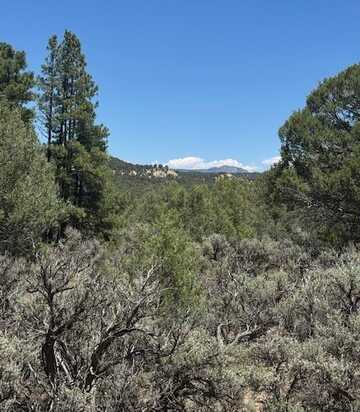 Lot 7 Unit 5, Tierra Amarilla, NM 87575