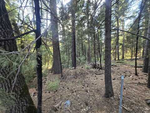 Frontier Road, Oak Run, CA 96069