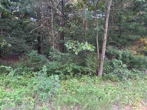 5472 Margaret Avenue, Newaygo, MI 49337