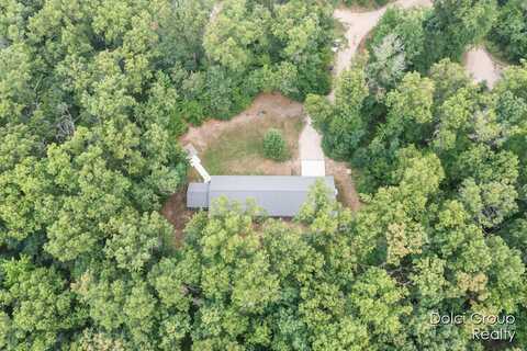 8919 Buckhorn Drive, Howard City, MI 49329