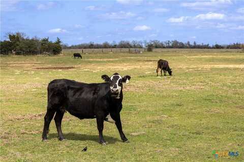 Lot 12 Mule Creek Road, Harwood, TX 78629