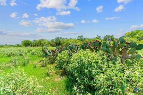 Lot 3 Cr 280, Harwood, TX 78629