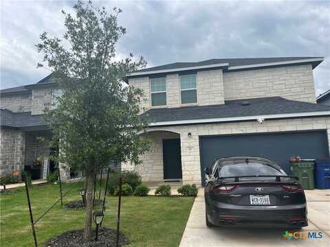 217 Lt Rusty Drive, Jarrell, TX 76537