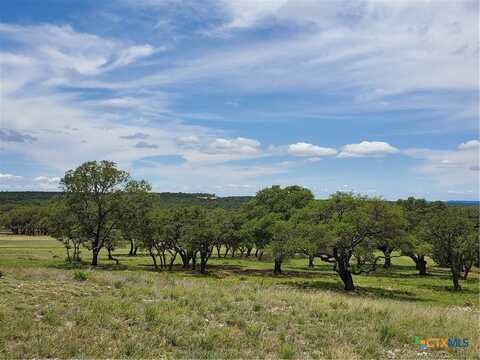 974 Blackbuck Ridge Drive, Lampasas, TX 76550