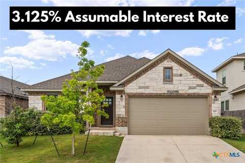229 Blue Oak Boulevard, San Marcos, TX 78666