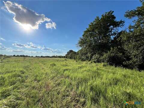 000 Pecan Road (Tract 4), Troy, TX 76579