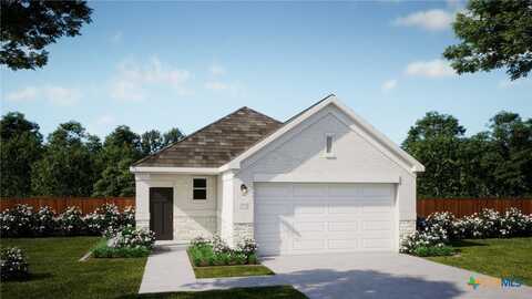508 Bauer Loop, Liberty Hill, TX 78642
