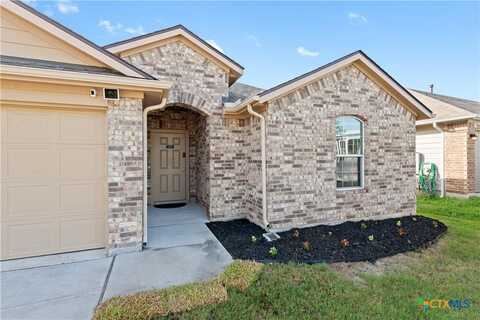19408 Great Falls Drive, Manor, TX 78653