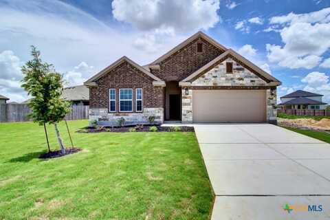 3590 Starbright Drive, New Braunfels, TX 78130
