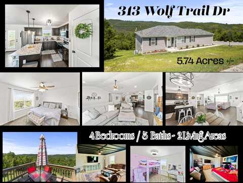 313 Wolf Trail Drive, Hollister, MO 65672
