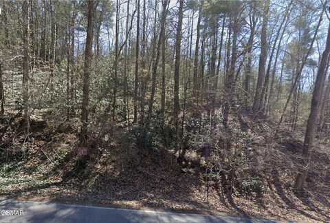 0 Alpine Drive, Sevierville, TN 37876