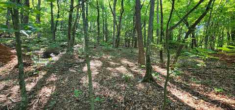 Lot 71 Serpentine Drive, Columbus, NC 28722
