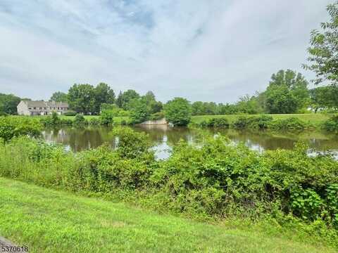 3705 Pinhorn Dr, Bridgewater, NJ 08807
