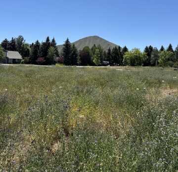 110 Sunbeam St, Hailey, ID 83333