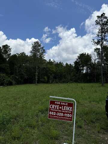 972 Main St, Crawford, MS 39743