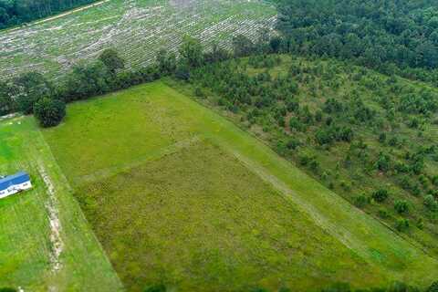 000 Gibson Road, Climax, GA 39834