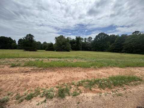 Lot 2 Cottontail Drive, Mount Vernon, TX 75457