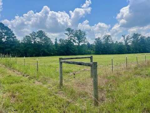 Lot 4 Hilton Lane, Smithdale, MS 39664