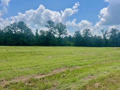 LOT 5 Hilton Lane, Smithdale, MS 39664