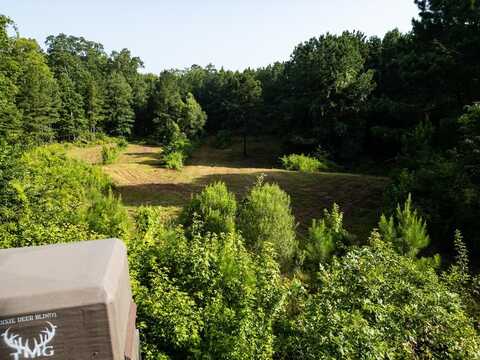 2898 Whetstone Road, Woodville, MS 39669