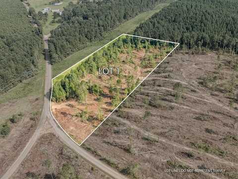 01 Lucas Hollow Road, Mt. Olive, MS 39119