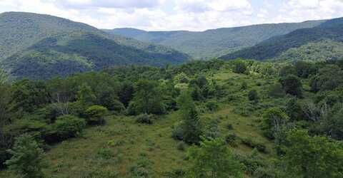 Linwood Rd, Slatyfork, WV 26291