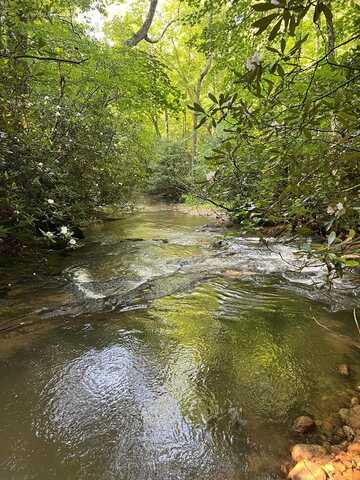 Tbd Old School House Rd, Ararat, VA 24053