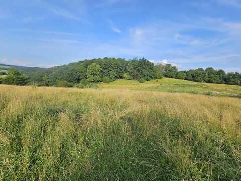 Tbd Quite Acres Lane, Glade Spring, VA 24340
