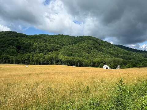 Tbd Troutdale Hwy., Mouth of Wilson, VA 24363