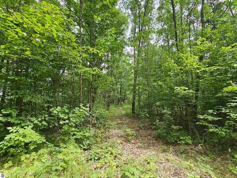 6509 Mareny Drive, Marion, MI 49665
