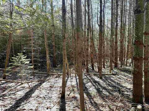 161 W Nachazel Road, Maple City, MI 49664