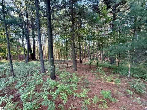 015 S Westview Drive, Empire, MI 49630