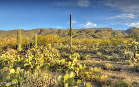 4503 Larkspur Road, Tucson, AZ 85749