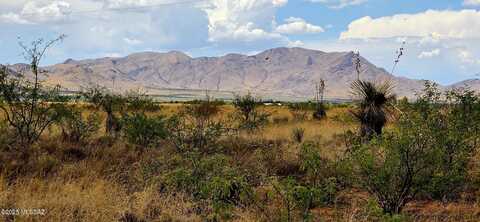 Lot 20 Willcox Road, Pearce, AZ 85625
