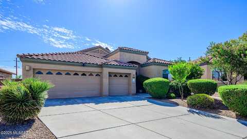 9209 S Tree House Lane, Tucson, AZ 85756