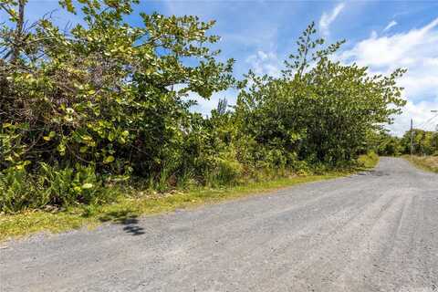 15-925 LEMIWAI Road, Keaau, HI 96749