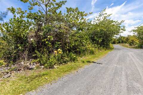 15-929 Lemiwai Road, Keaau, HI 96749