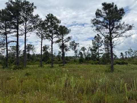 Albert Hendry Road, Greenville, FL 32331