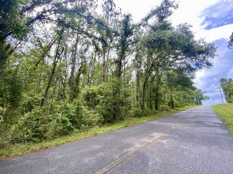 Vacant NE Old Blue Springs Road, Lee, FL 32059