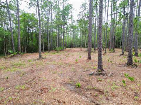 NE Lowery Acres Road, Hosford, FL 32334